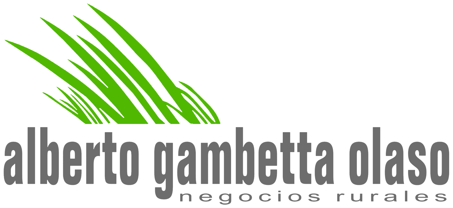 Alberto Gambetta Olaso